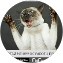 Zdjęcie profilowe użytkownika Светлана Баклага